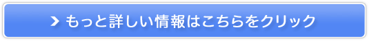 犾ubN̐inyv~AfIBT[Wz̔TCg